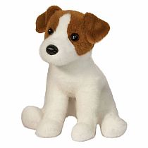 FIONA KACK RISSEL TERRIER