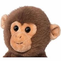 SKIP MONKEY