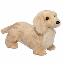 HAISLEY GOLDEN DACHSUND