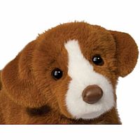 RUSH DUCK TOLLING RETRIEVER