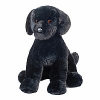 SPRUCE BLACK LAB