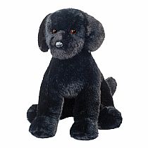 SPRUCE BLACK LAB