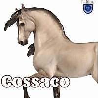 BREYER COSSACO LUSITANO