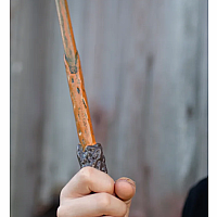 Wizard Wand