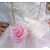 GOLDEN ROSE PRINCESS DRESS 3/4