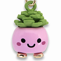 CHARM IT HAPPY SUCCULENT