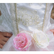 GOLDEN ROSE PRINCESS DRESS 7/8
