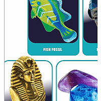 10 in 1 Treasure Excavation Kit