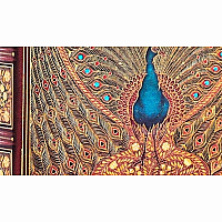 PB ULTRA UNLINED HAFIZ PEACOCKS