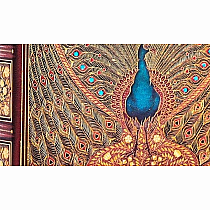 PB ULTRA UNLINED HAFIZ PEACOCKS