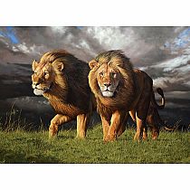 APPROACHING STORM 1000 PC PUZ