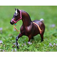 BREYER PINK PERFECTION GIFT SET