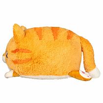 SQUBL ORANGE KITTY