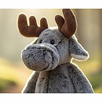 ATLAS MOOSE