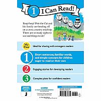 HOW TO DRIVE YOUR SISTER CRAZY--Diane ZuHone Shore  Laura Rankin