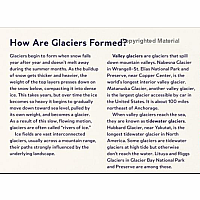 Who Lives near a Glacier?: Alaska Animals in the Wild  --Susi Gregg Fowler and Jim Fowler