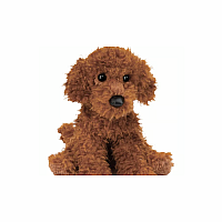 GINGER MINIATURE POODLE