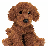 GINGER MINIATURE POODLE