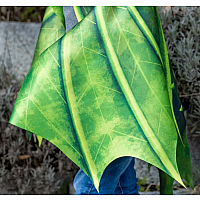 LEGENDARY DRAGON SOFT WINGS