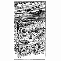 The Black Pearl --Newbery Honor  Scott O'Dell