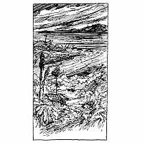 The Black Pearl --Newbery Honor  Scott O'Dell