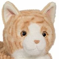 SCHNOOKIE STRIPED CAT