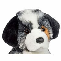 ASPEN AUSTRALIAN SHEPHERD