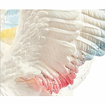 SCHLEICH RAINBOW FAIRY DRAGON BABY