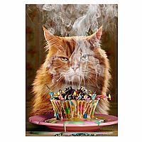 GRUMPY CAT CANDLES BDAY CARD