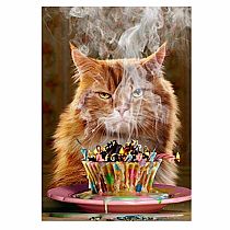 GRUMPY CAT CANDLES BDAY CARD