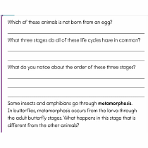 Summer Brain Quest: Between Grades 2 & 3