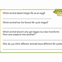 Summer Brain Quest: Between Grades 3 & 4