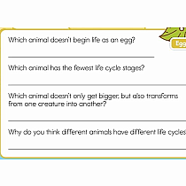 Summer Brain Quest: Between Grades 3 & 4