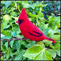 WOOLPETS BIRDS--STARTER/EASY KIT