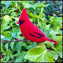 WOOLPETS BIRDS--STARTER/EASY KIT