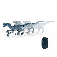ROBORAPTOR RC