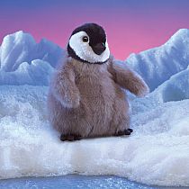 Baby Emperor PenguinBABY EMPEROR HAND PENGUIN PUPPET
