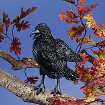 CROW HAND PUPPET