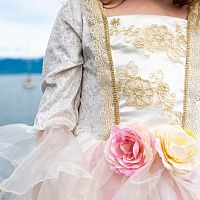 GOLDEN ROSE PRINCESS DRESS 7/8