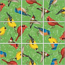 SQUZZLE PUZZLE BIRDS