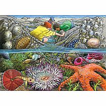 EXPLORING SEASHORE TRAY PUZZLE