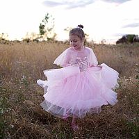 ELEGANT IN PINK DRESS 5/6