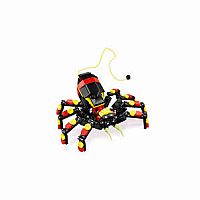 LEGO SURPRISING SPIDER