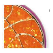 CHARM IT GOLD GLTR BASKETBALL