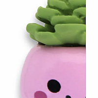 CHARM IT HAPPY SUCCULENT