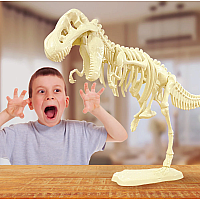 GIANT T-REX SKELETON MODEL