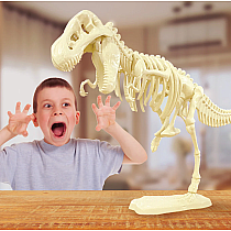 GIANT T-REX SKELETON MODEL