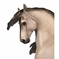 BREYER COSSACO LUSITANO