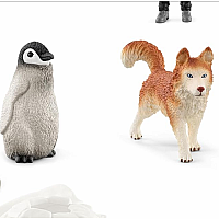 SCHLEICH ANTARCTIC EXPEDITION