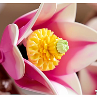 LEGO MAGNOLIA BRANCHES